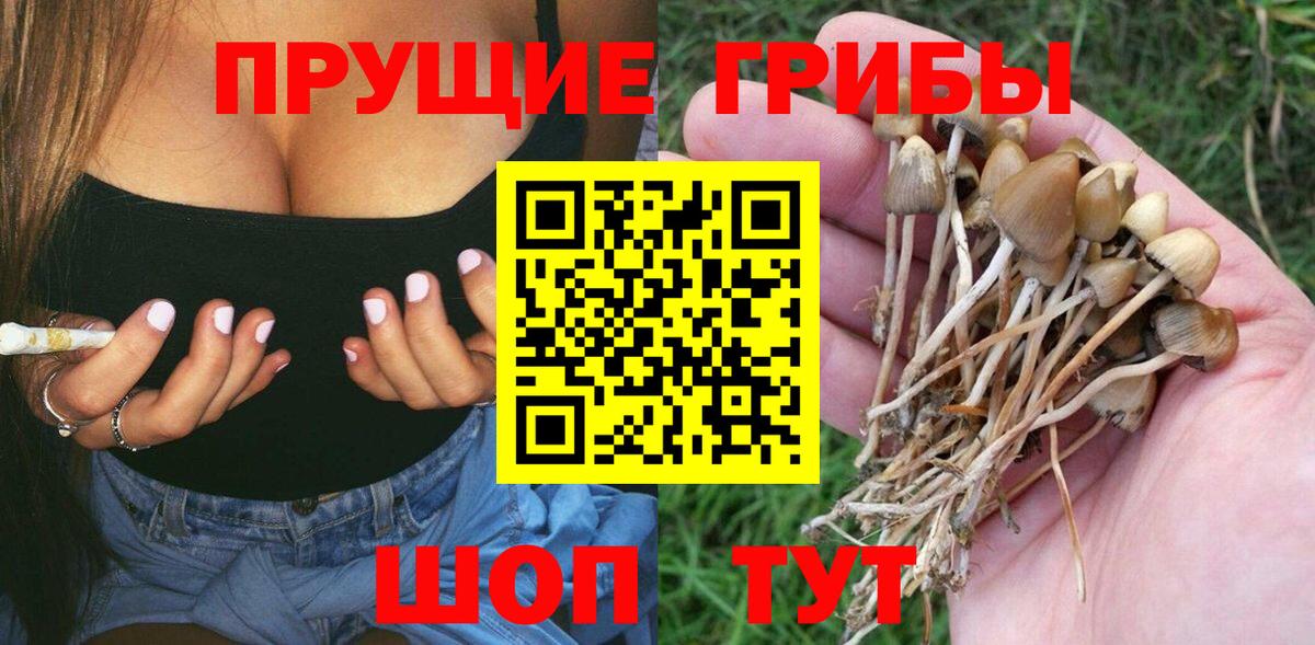 Галлюциногенные грибы Cubensis Назарово